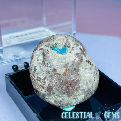 Rare Cavansite on Heulandite Mini Specimen in Box