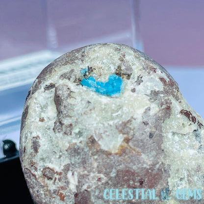 Rare Cavansite on Heulandite Mini Specimen in Box