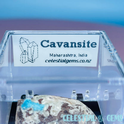 Rare Cavansite on Heulandite Mini Specimen in Box