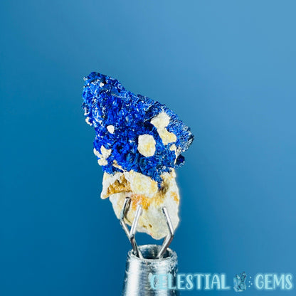 Grade A Gem Azurite Crystalline Mini Specimen (Video)