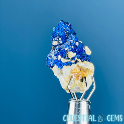 Grade A Gem Azurite Crystalline Mini Specimen (Video)