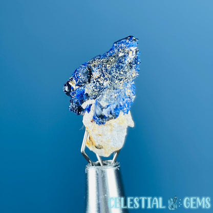 Grade A Gem Azurite Crystalline Mini Specimen (Video)