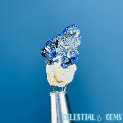 Grade A Gem Azurite Crystalline Mini Specimen (Video)