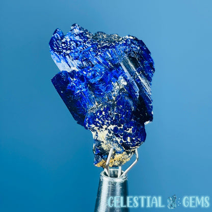 Grade A Gem Azurite Crystalline Cluster Mini Specimen (Video)