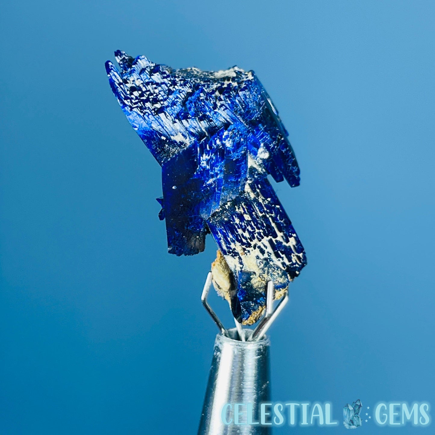 Grade A Gem Azurite Crystalline Cluster Mini Specimen (Video)