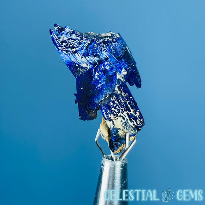 Grade A Gem Azurite Crystalline Cluster Mini Specimen (Video)