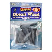 WildBerry Incense Backflow Cones x6 - Ocean Wind