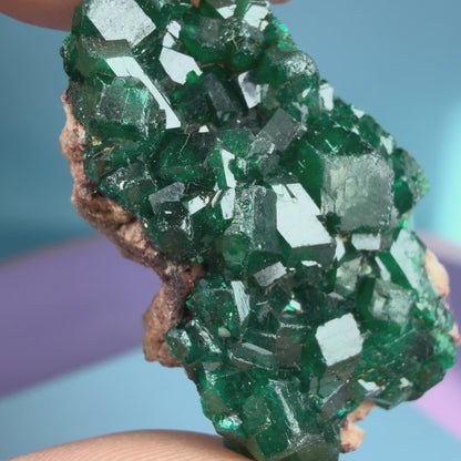 Rare Dioptase Cluster Specimen (Video)