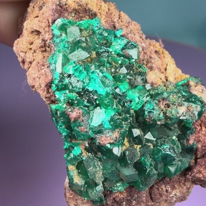 Rare Dioptase Cluster Specimen (Video)