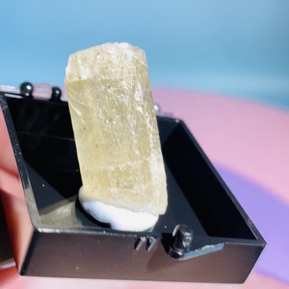 Yellow Scapolite Crystal Specimen in Box