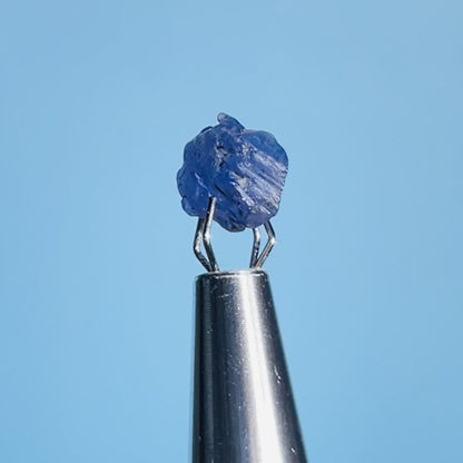 Tanzanite Mini Crystal in Specimen Pottle (Video)