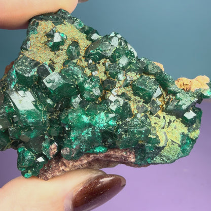 Rare Dioptase Cluster Specimen (Video)