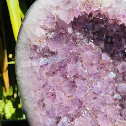 Amethyst XL Polished Standing Cluster with Concrete Base