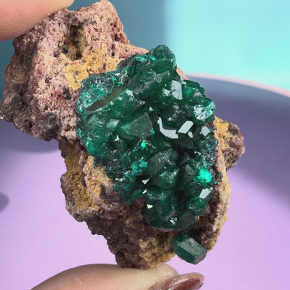 Rare Dioptase Cluster Specimen (Video)