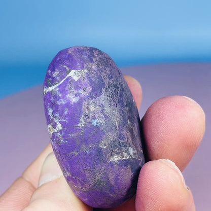 Purpurite Palmstone (Video)