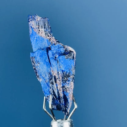 Grade A Gem Azurite Crystalline Mini Specimen (Video)