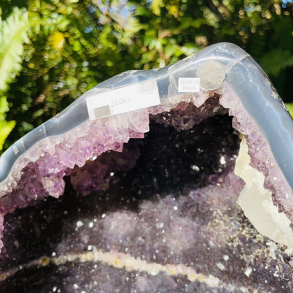 Dark Amethyst Extra Large Geode Cave (Video)