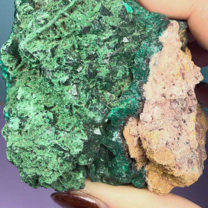 Rare Dioptase + Malachite Cluster Specimen (Video)