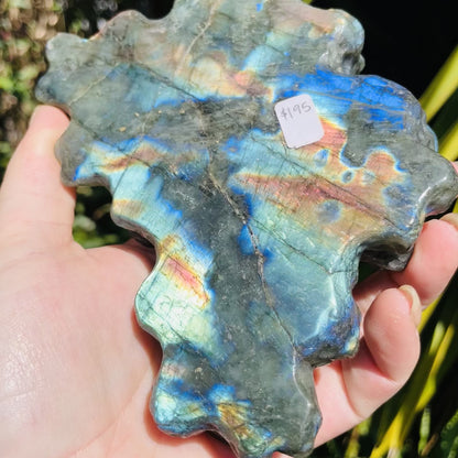 Labradorite Mushroom Troop Large Carving