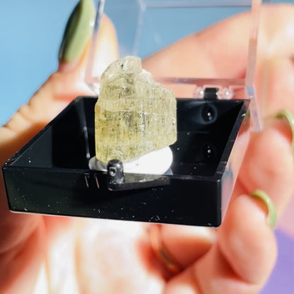 Yellow Scapolite Crystal Specimen in Box