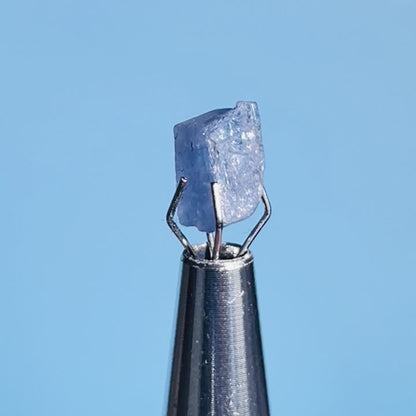 Tanzanite Mini Crystal in Specimen Pottle (Video)