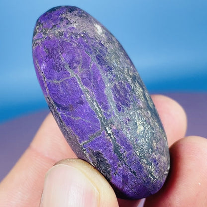 Purpurite Palmstone (Video)