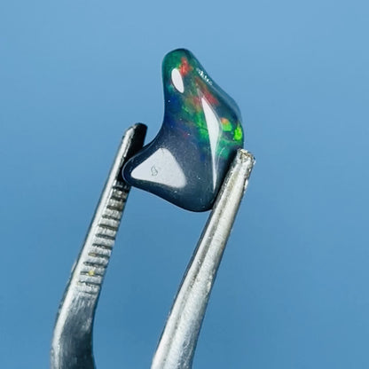 AAA Ethiopian Black 'Fire' Welo Opal Polished Mini Crystal in Specimen Pottle (Video)