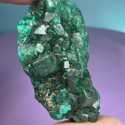 Rare Dioptase Cluster Specimen (Video)