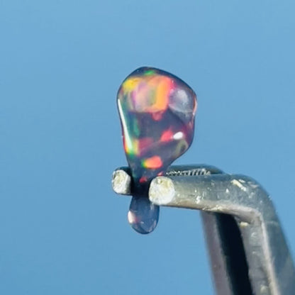 AAA Ethiopian Black 'Fire' Welo Opal Polished Tiny Crystal in Specimen Pottle (Video)