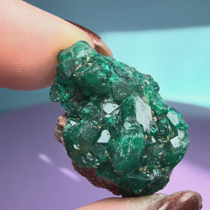Rare Dioptase Cluster Specimen (Video)