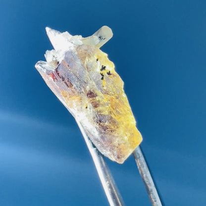 Rare Axinite Shard Gemstone Specimen with Pleochroism (Video)