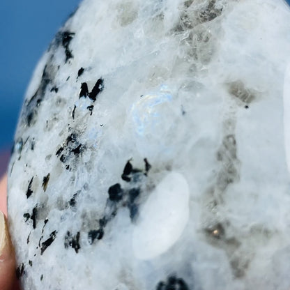 Rainbow Moonstone Palmstone (Video)