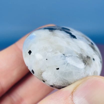 Rainbow Moonstone Palmstone (Video)