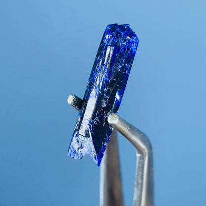 Grade A Gem Azurite Crystalline Mini Specimen (Video)