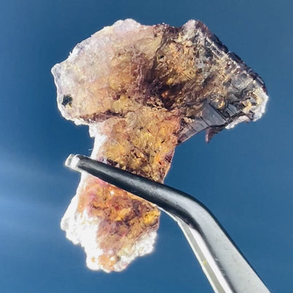 Rare Axinite Shard Gemstone Specimen with Pleochroism (Video)