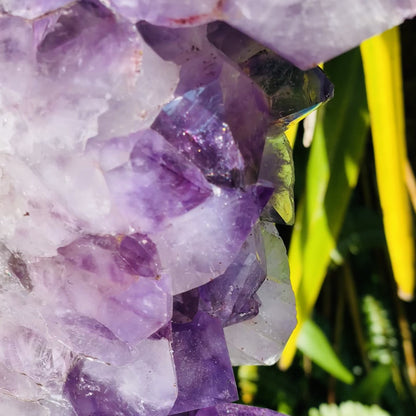 Amethyst Cluster Geode XL Slice on Stand