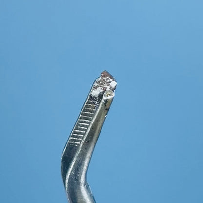 Salt & Pepper Diamond Tiny Crystal Specimen in Pottle (Video)