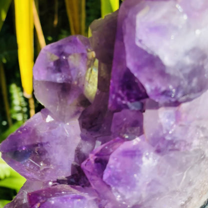 Amethyst Cluster Geode XL Slice on Stand