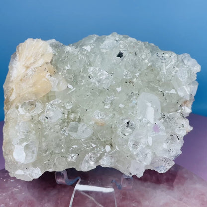 A Grade Diamond Apophyllite + Peach Stilbite Medium Cluster