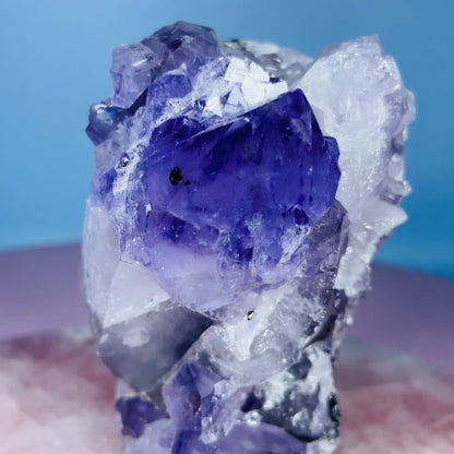 Amethyst + Hollandite Medium Standing Cluster Freeform