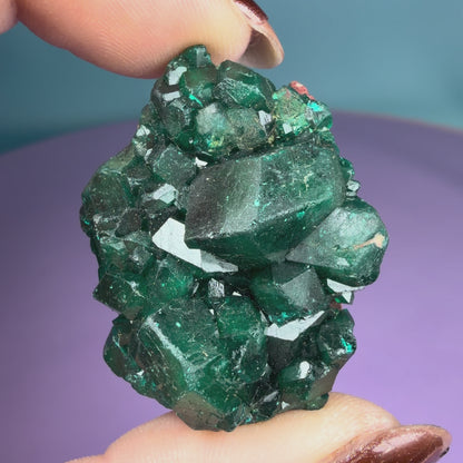 Rare Dioptase Cluster Specimen (Video)