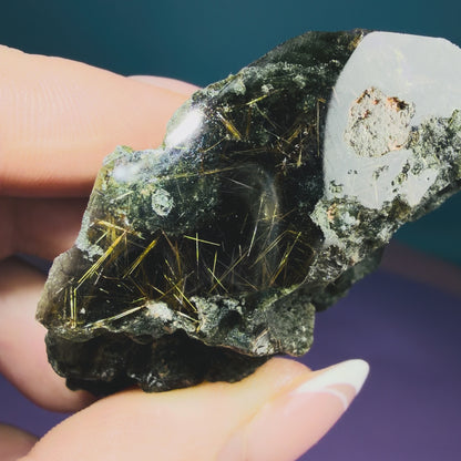 Gold Rutile Chlorite Quartz Raw Piece with Polished Seer Window