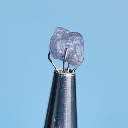 Tanzanite Mini Crystal in Specimen Pottle (Video)