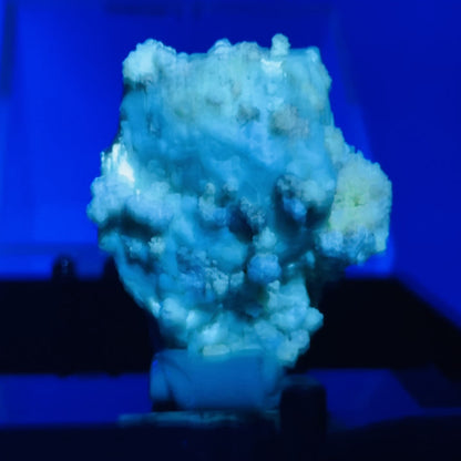 Gypsum + UV Phosphorescent Aragonite Small Specimen in Box (Video)