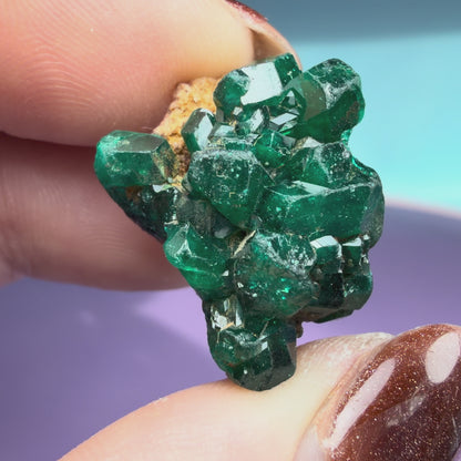 Rare Dioptase Cluster Specimen (Video)