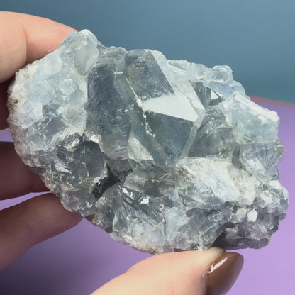 Celestite Small Cluster Geode