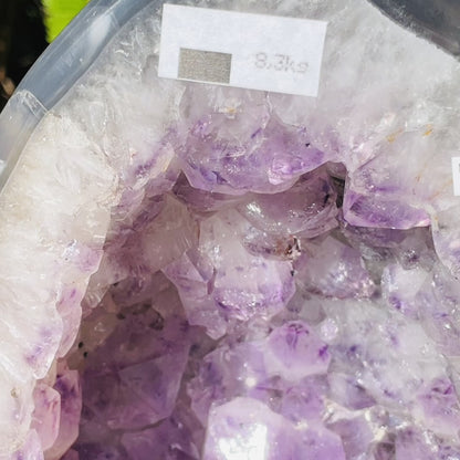 Amethyst + Agate Large Geode Cave (Video)