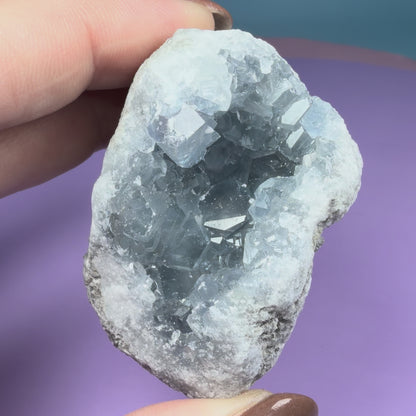 Celestite Small Cluster Geode