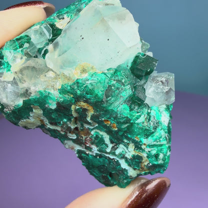Rare Dioptase, Shattuckite + Quartz Cluster Specimen (Video)
