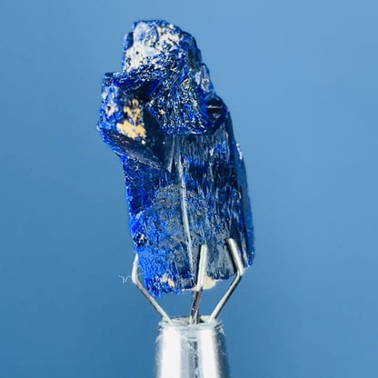 Grade A Gem Azurite Twinned Crystalline Mini Specimen (Video)